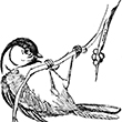 Parus_atricapillus_Tom_Kelley