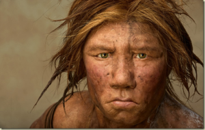 neandertal