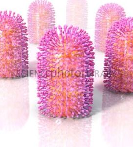Rabies virus, artwork