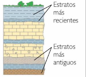estratos-2