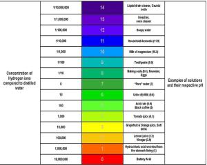 pH_Scale
