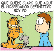 garfield gato raton humano toxoplasma gondii parasito