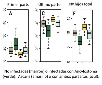 parasitos y fertilidad