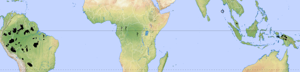 pueblos-indigenas-aislados