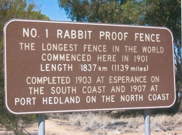 rabbit-proof-fence-76